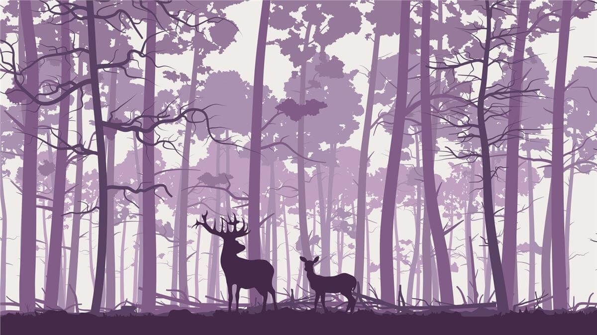 Çocuk Odasıİlham Çocuk Odası Duvar Kağıdı