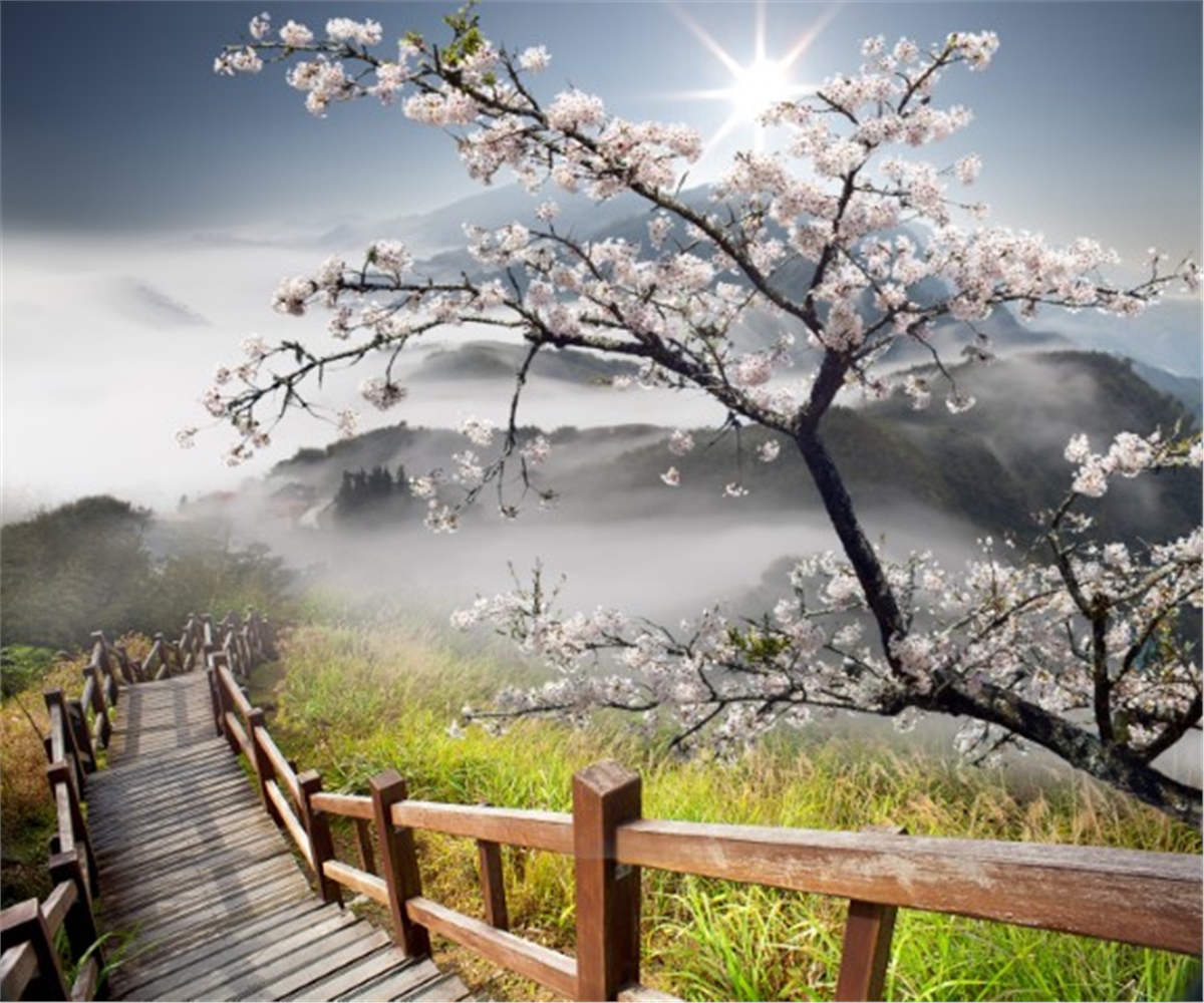 Manzara Duvar KağıtlarıManzara Duvar Kağıdı