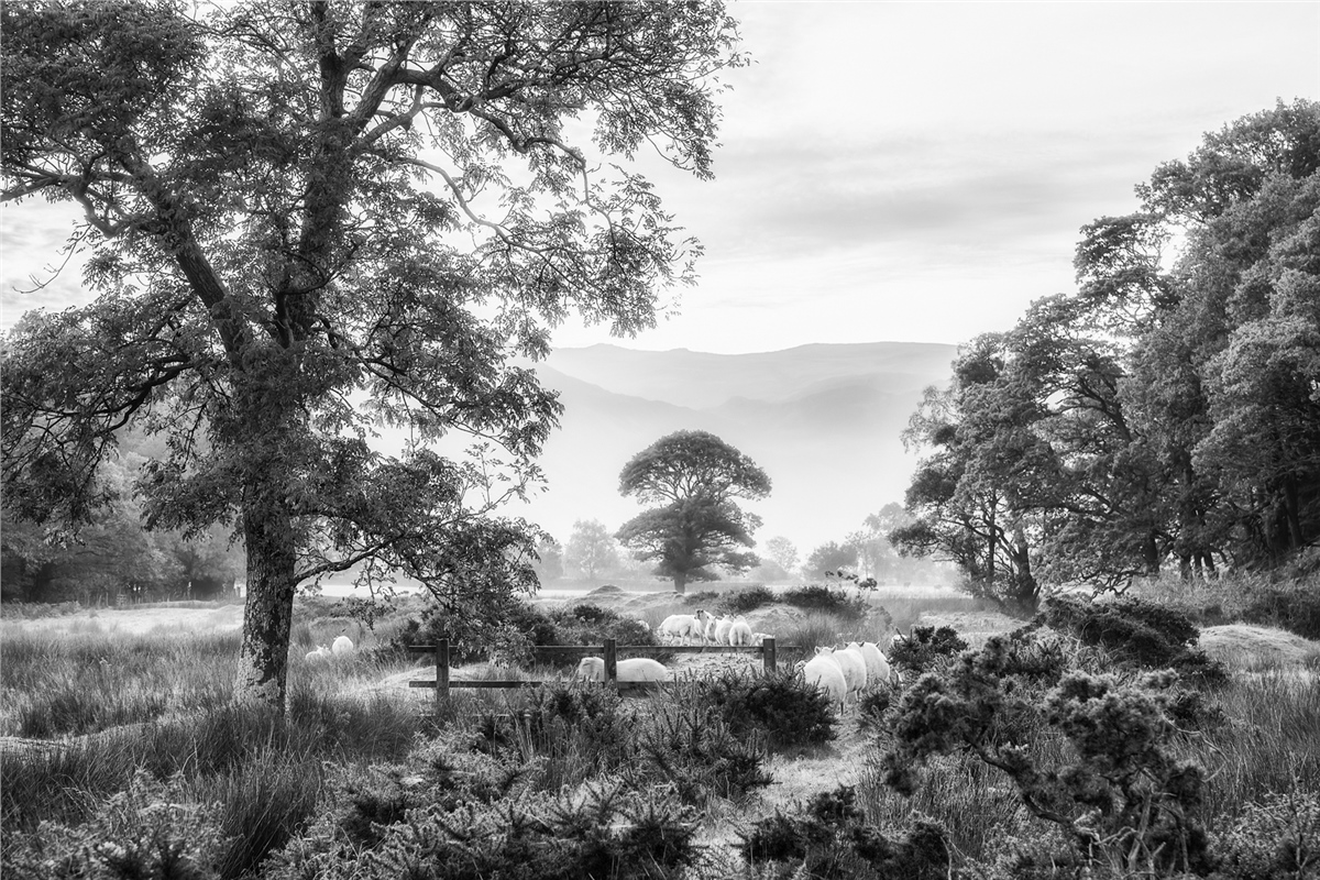 Manzara Duvar KağıtlarıManzara Duvar Kağıdı