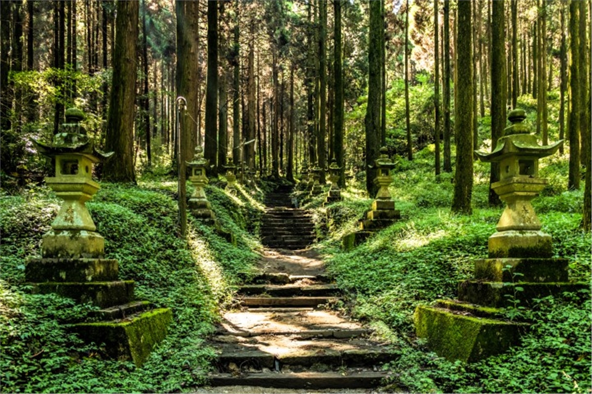 Manzara Duvar KağıtlarıManzara Duvar Kağıdı