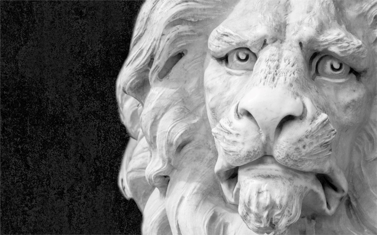 Rölyef Duvar KağıdıRölyef Duvar Kağıdı