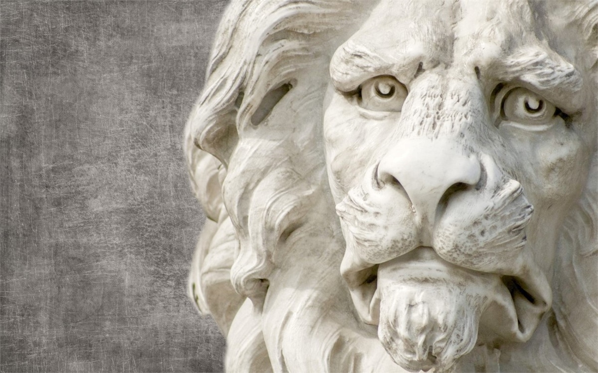 Rölyef Duvar KağıdıRölyef Duvar Kağıdı