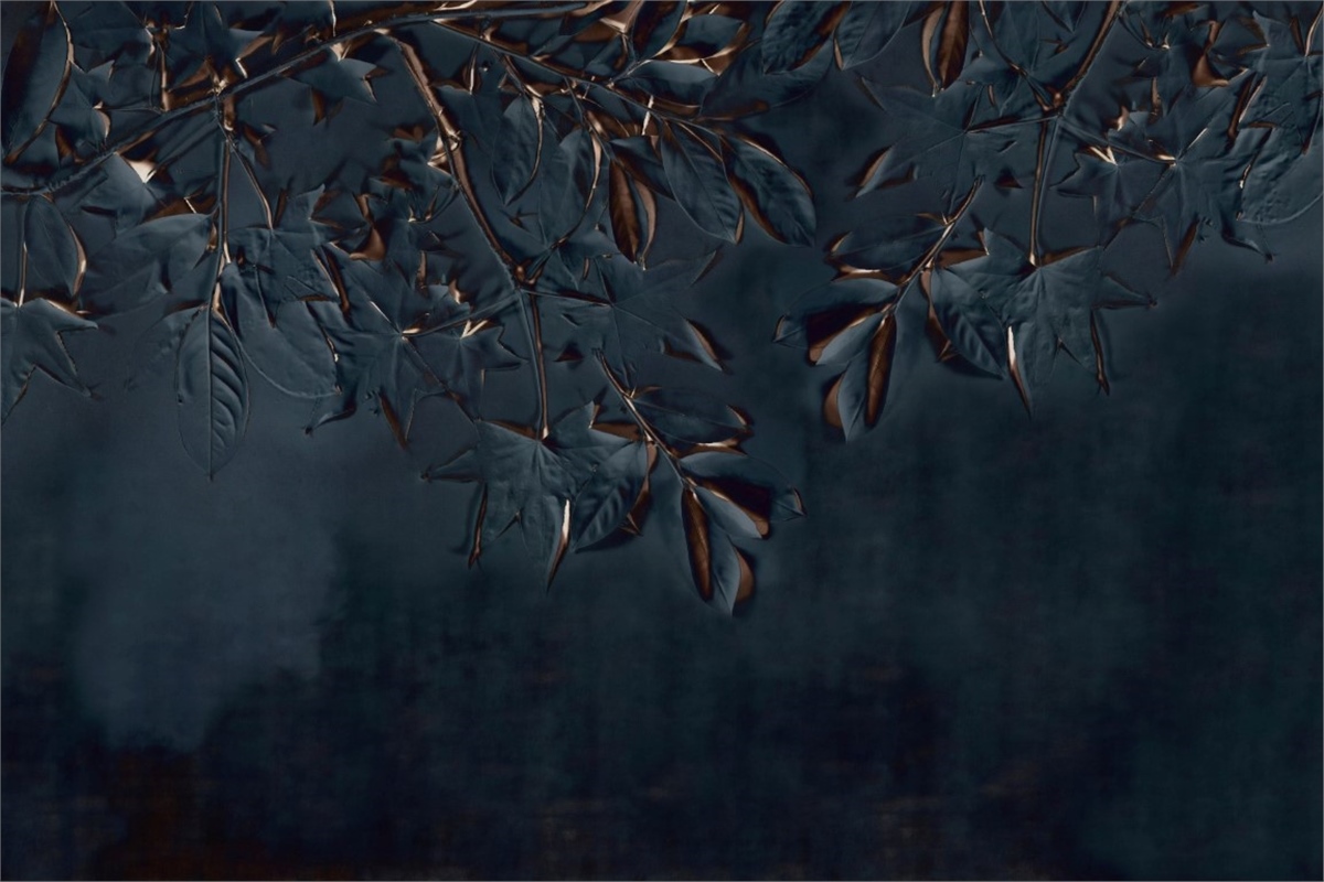 Rölyef Duvar KağıdıRölyef Duvar Kağıdı