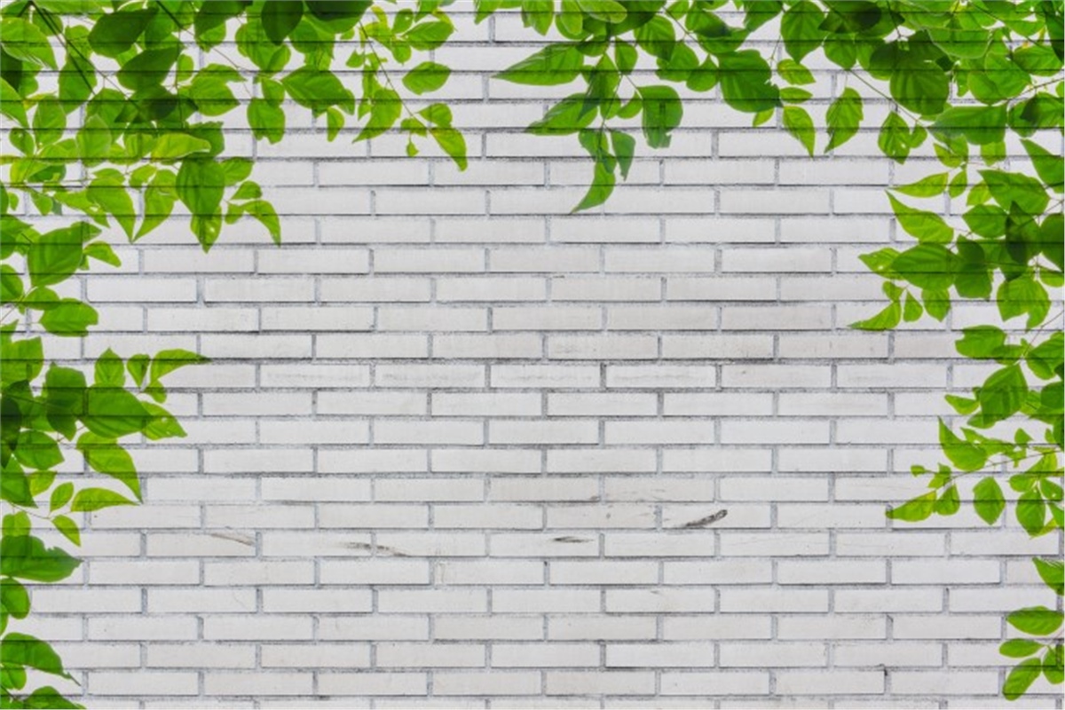 Taş Duvar KağıtlarıTaş Duvar Kağıdı