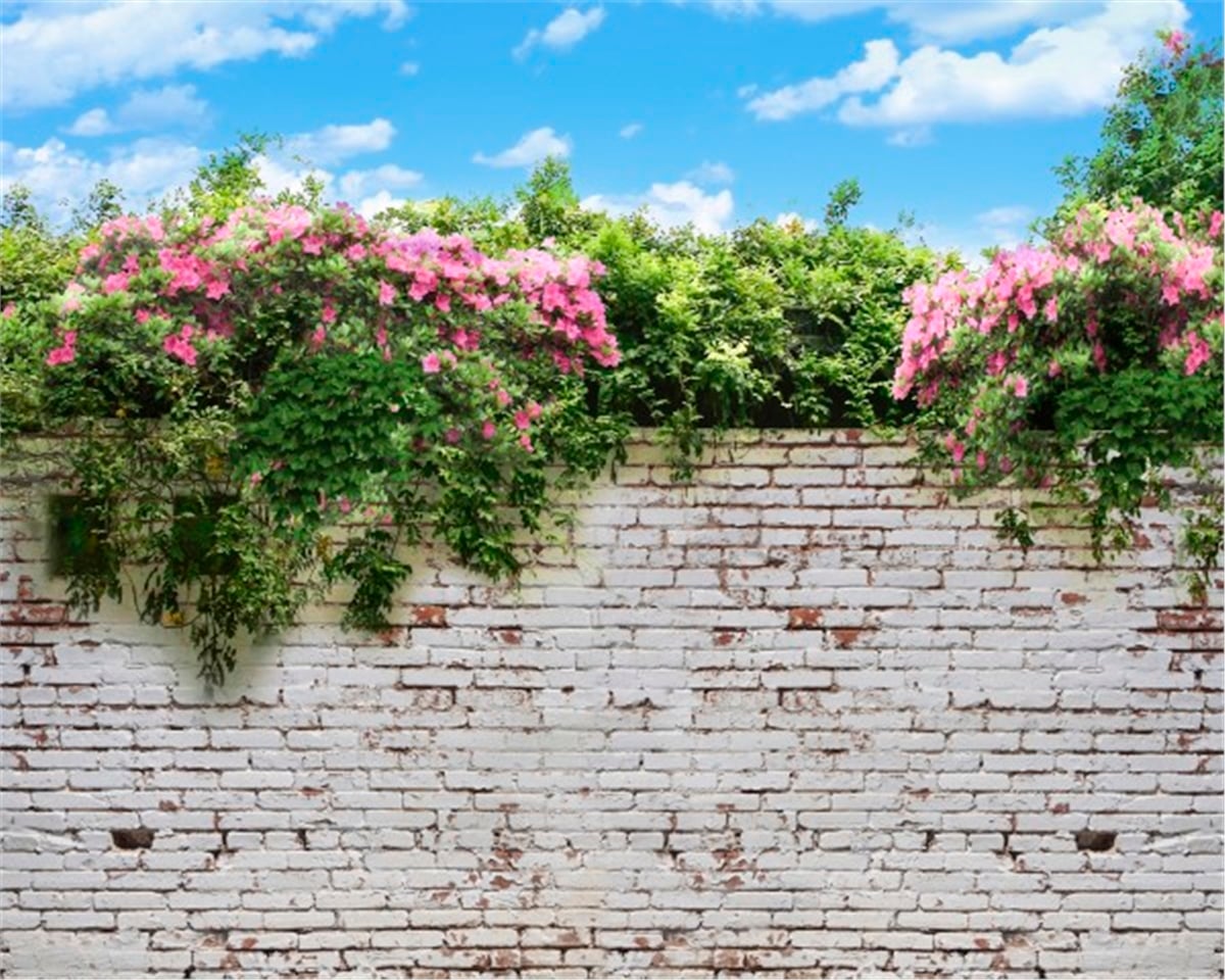 Taş Duvar KağıtlarıTaş Duvar Kağıdı