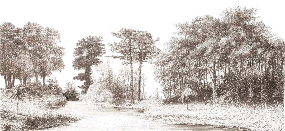 Tropikal Duvar KağıtlarıTropikal Duvar Kağıdı