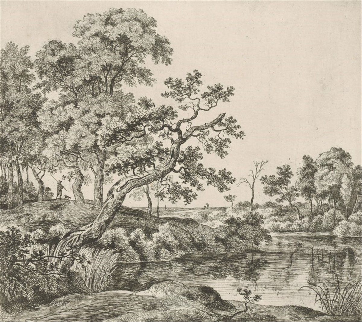 Tropikal Duvar Kağıtları 2Tropikal Duvar Kağıdı