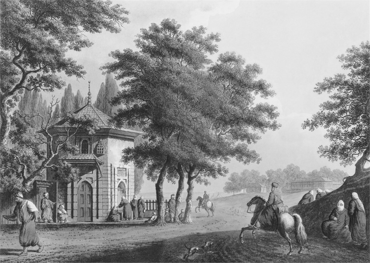 Tropikal Duvar Kağıtları 2Tropikal Duvar Kağıdı