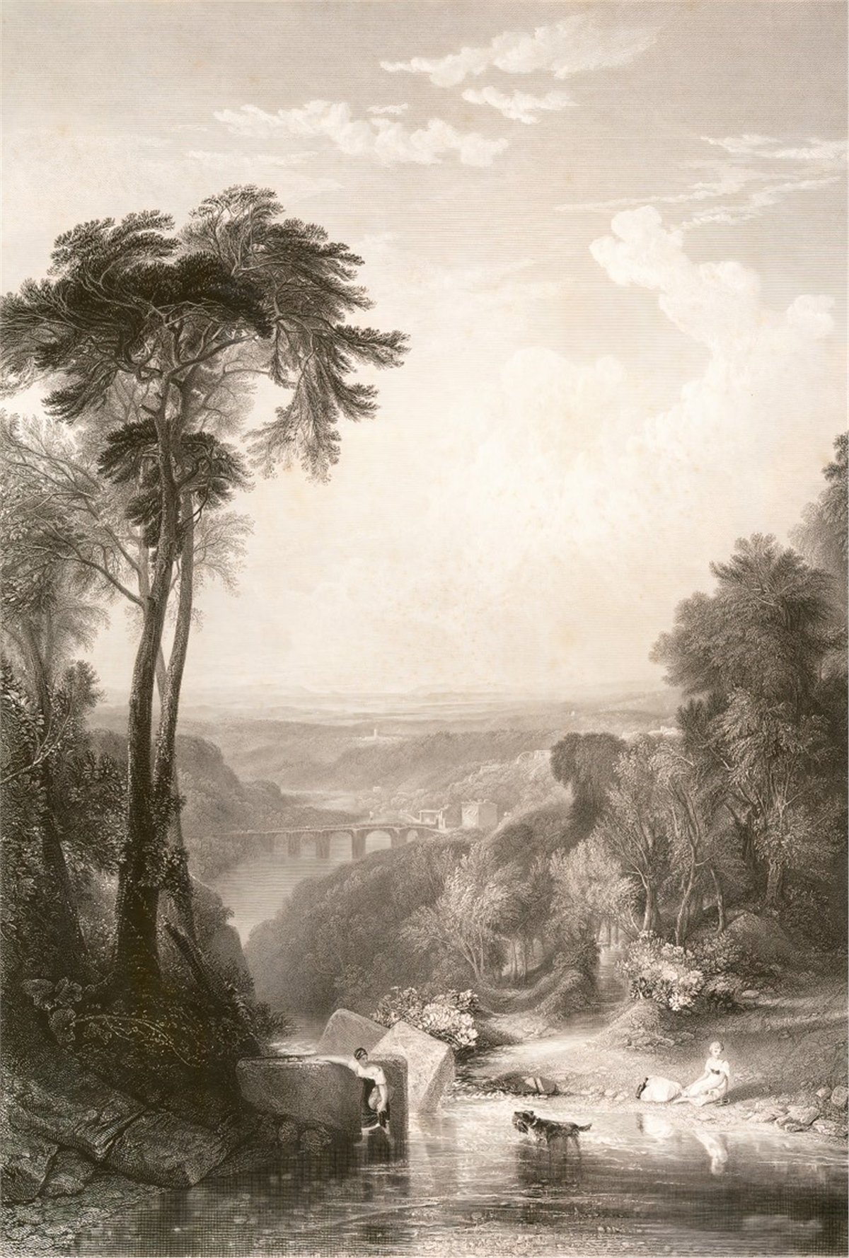 Tropikal Duvar Kağıtları 2Tropikal Duvar Kağıdı