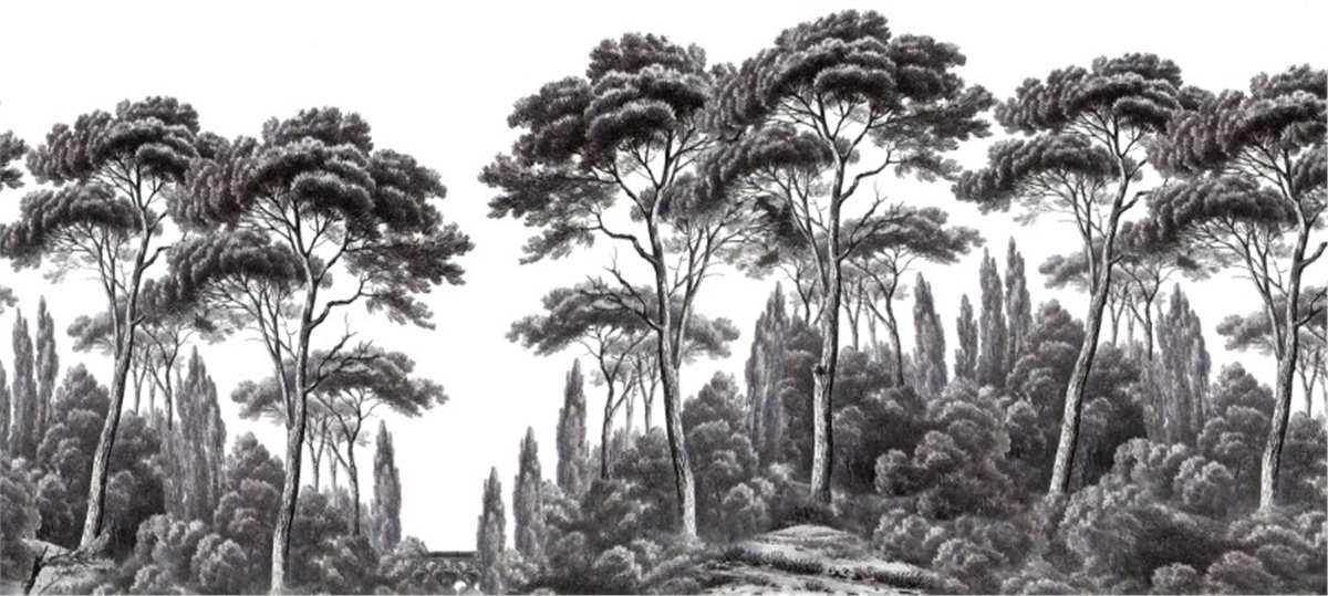 Tropikal Duvar KağıtlarıTropikal Duvar Kağıdı