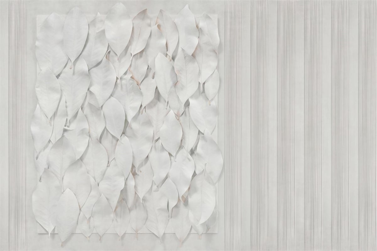 Tropikal Duvar Kağıtları 2Tropikal Duvar Kağıdı