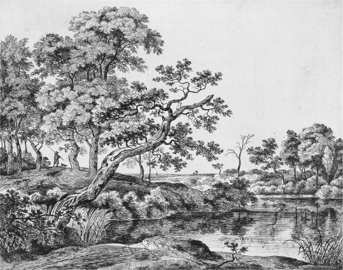 Tropikal Duvar Kağıtları 2Tropikal Duvar Kağıdı