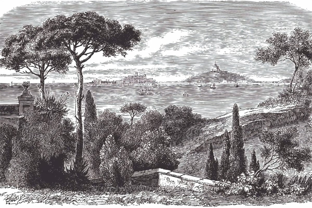 Tropikal Duvar Kağıtları 2Tropikal Duvar Kağıdı