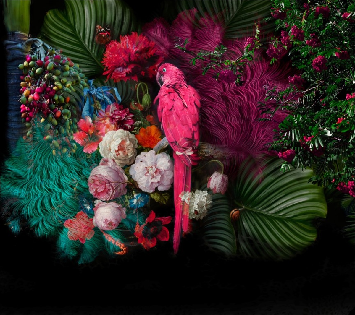 Tropikal Duvar Kağıtları 2Tropikal Duvar Kağıdı