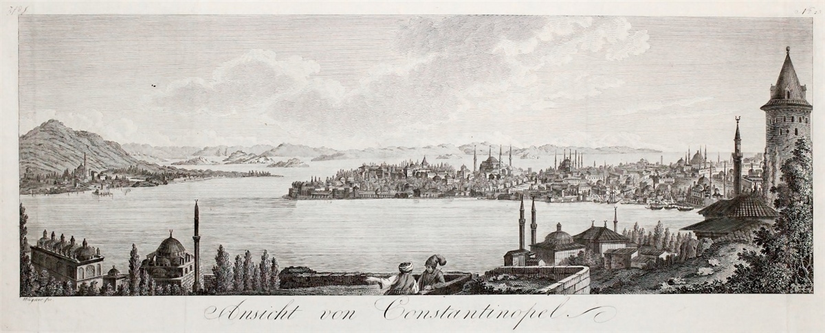 Tropikal Duvar Kağıtları 2Tropikal Duvar Kağıdı