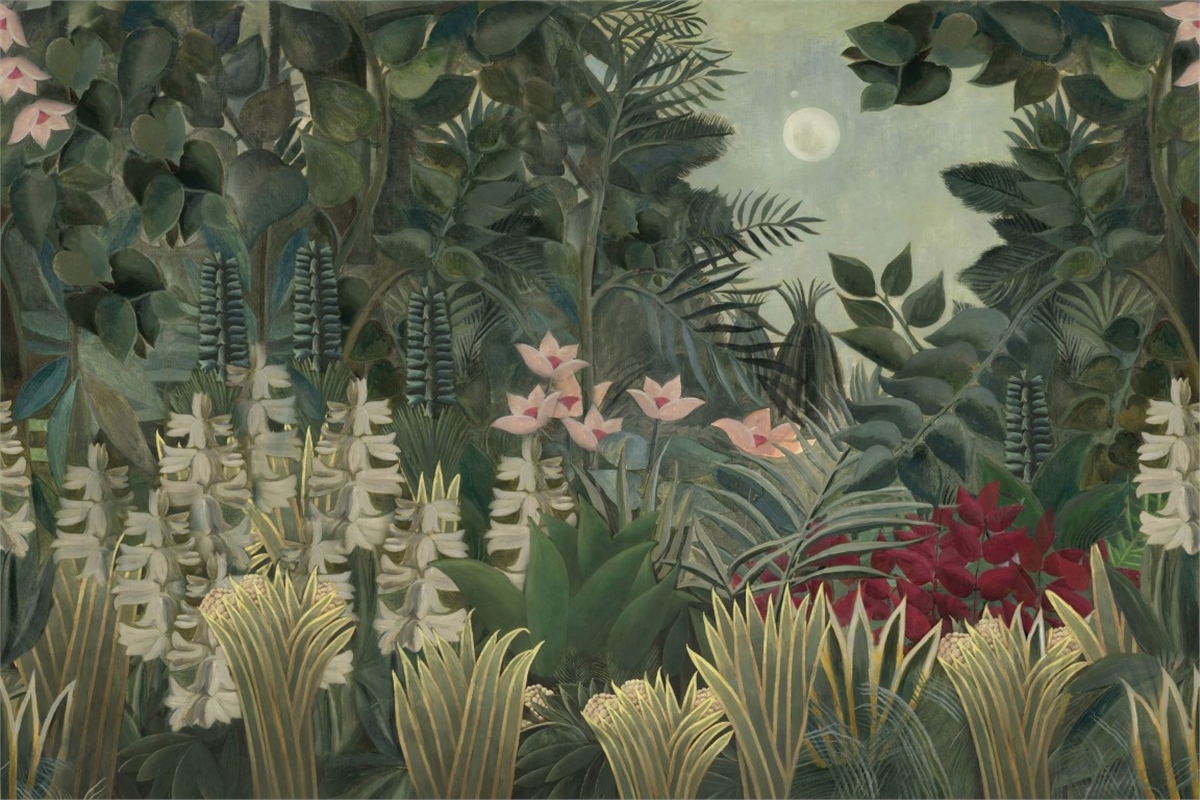 Tropikal Duvar Kağıtları 2Tropikal Duvar Kağıdı