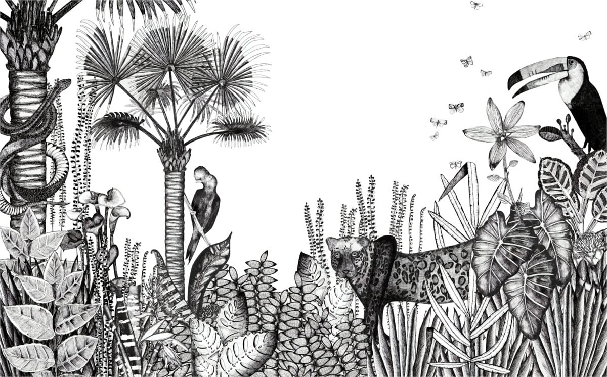 Tropikal Duvar KağıtlarıTropikal Duvar Kağıdı