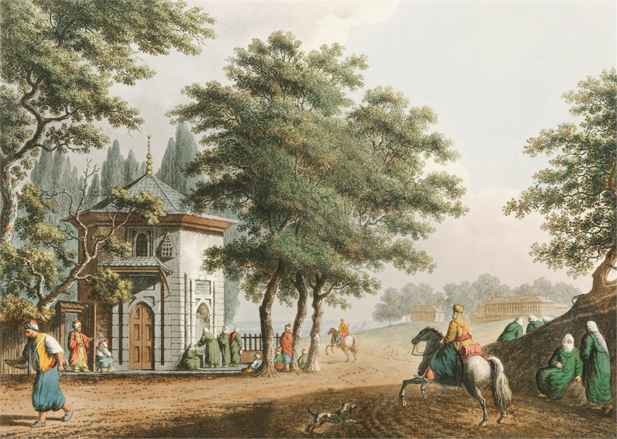 Tropikal Duvar Kağıtları 2Tropikal Duvar Kağıdı