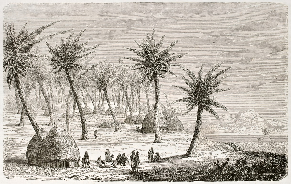 Tropikal Duvar Kağıtları 2Tropikal Duvar Kağıdı