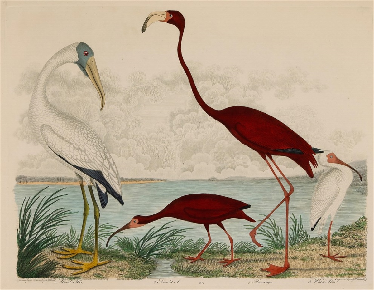 Yağlı Tablo Duvar KağıdıYağlı Tablo Duvar Kağıdı