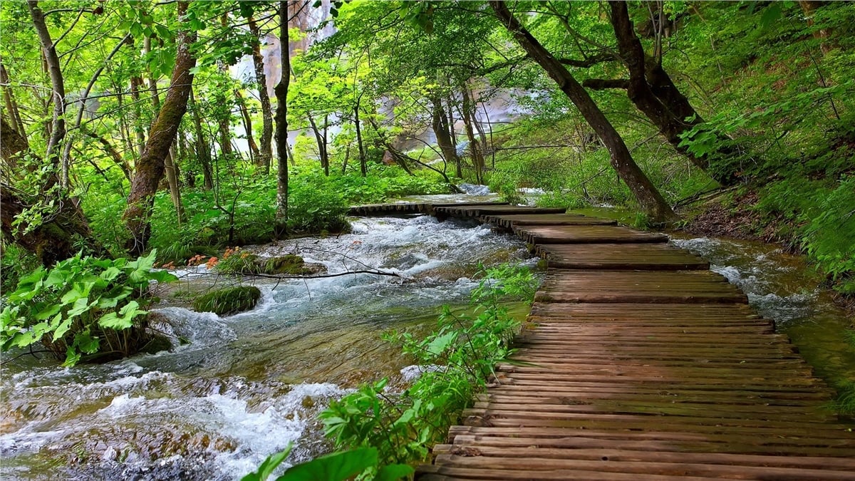 Yol Duvar KağıtlarıYol Duvar Kağıdı