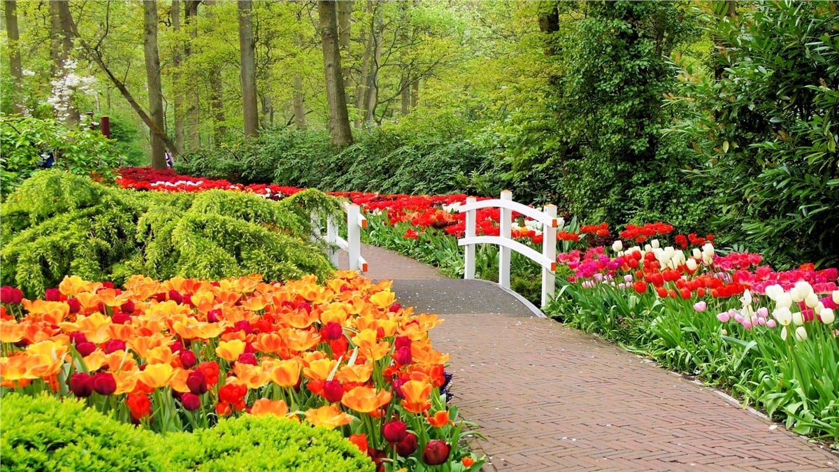 Yol Duvar KağıtlarıYol Duvar Kağıdı