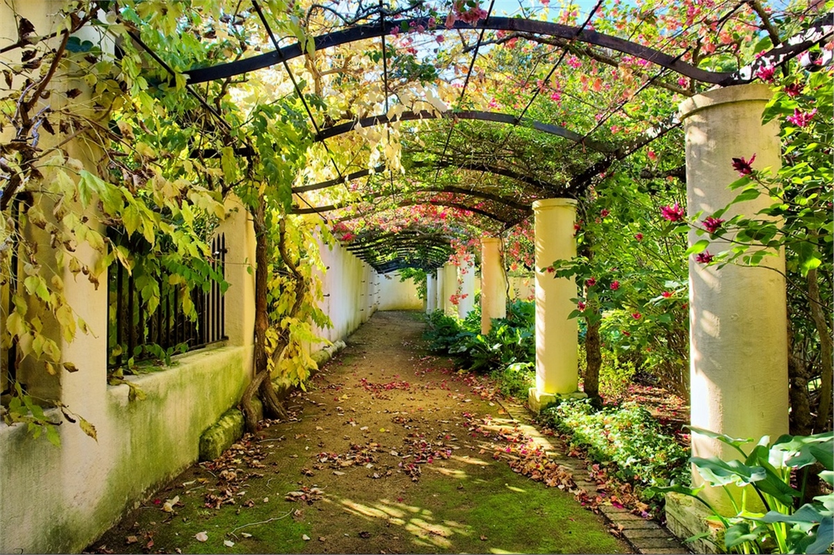 Yol Duvar KağıtlarıYol Duvar Kağıdı