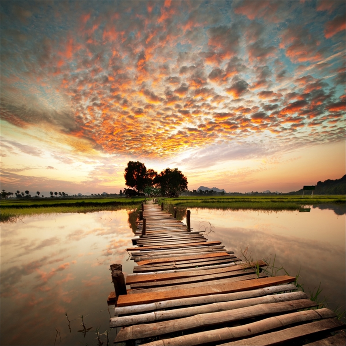 Yol Duvar KağıtlarıYol Duvar Kağıdı