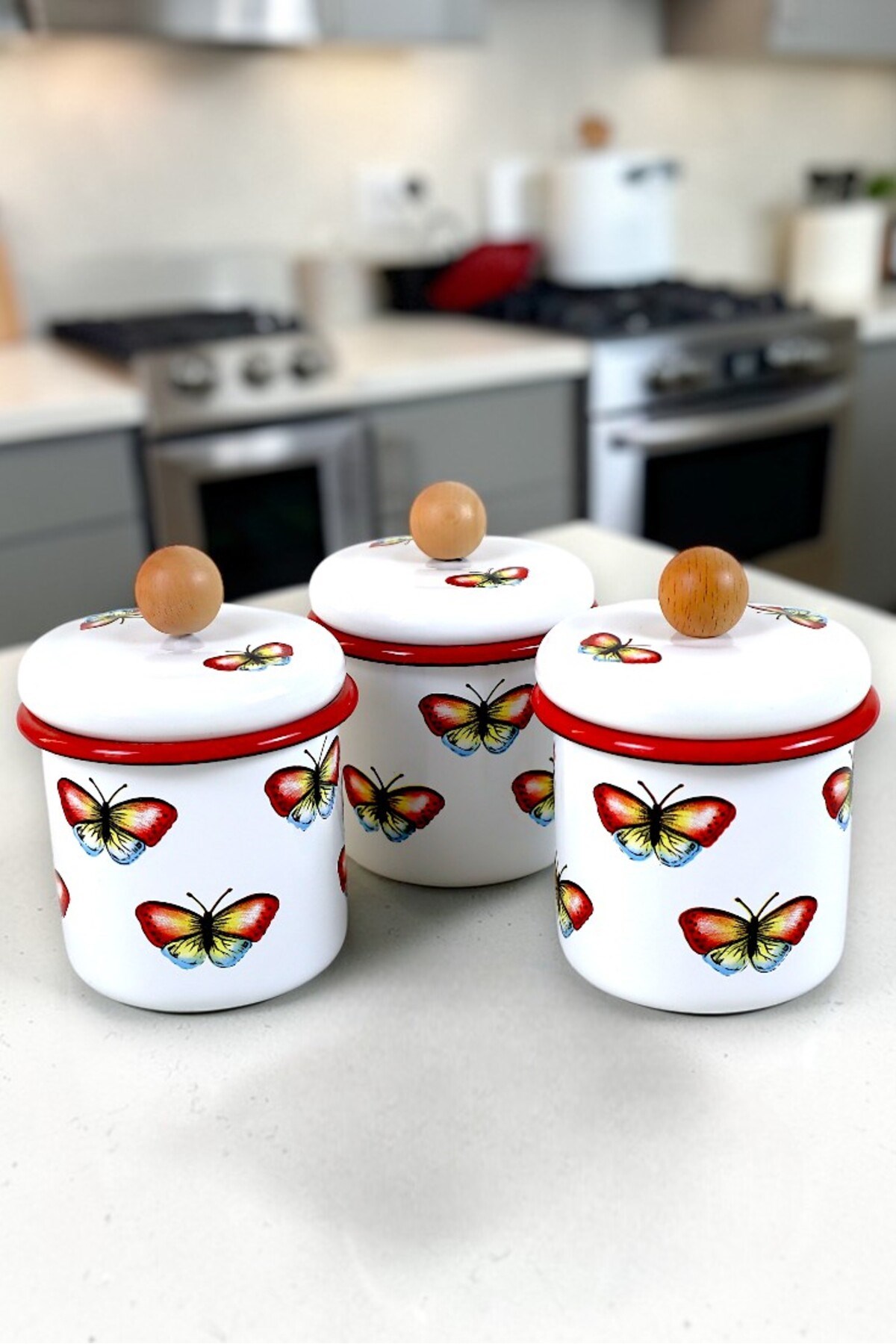 3'Lü Emaye Baharatlık Set 380Ml 6 Parça
