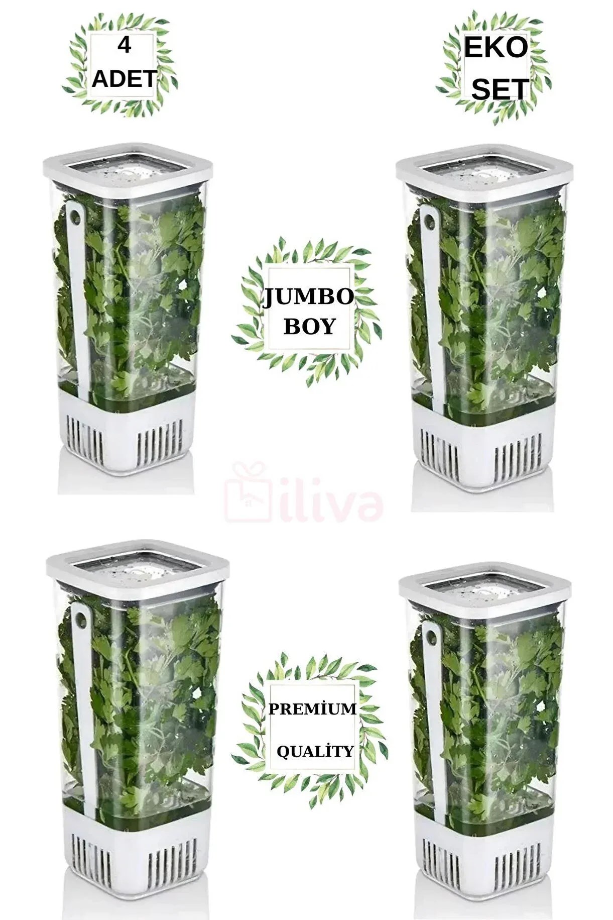 4'lü Yeşillik Saklama Kabı Seti | BPA Free Buzdolabı Sebze Kabı