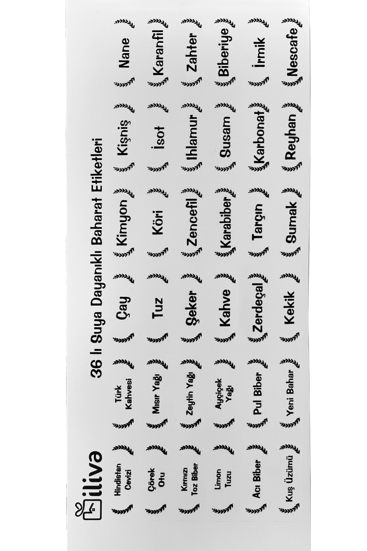 Beyaz Baharat, Bakliyat Kavanoz Saklama Kabı Etiketi - 36 Adet Suya Dayanıklı Baharatlık Sticker