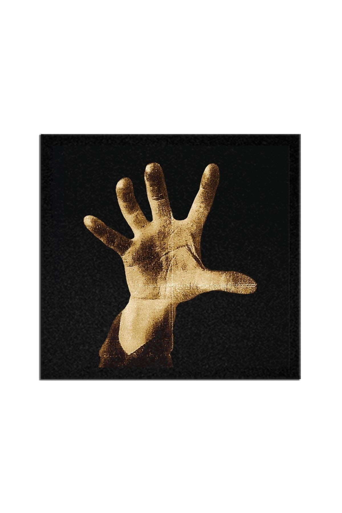 System Of A Down Lp Albüm Arma Peç Patch Yama