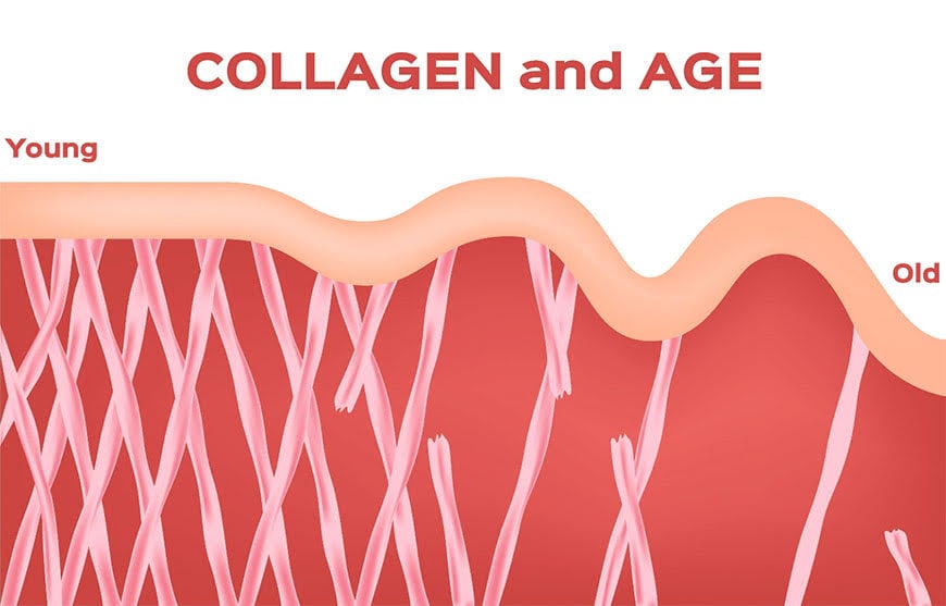 COLLAGEN VITAL IMMUNITE