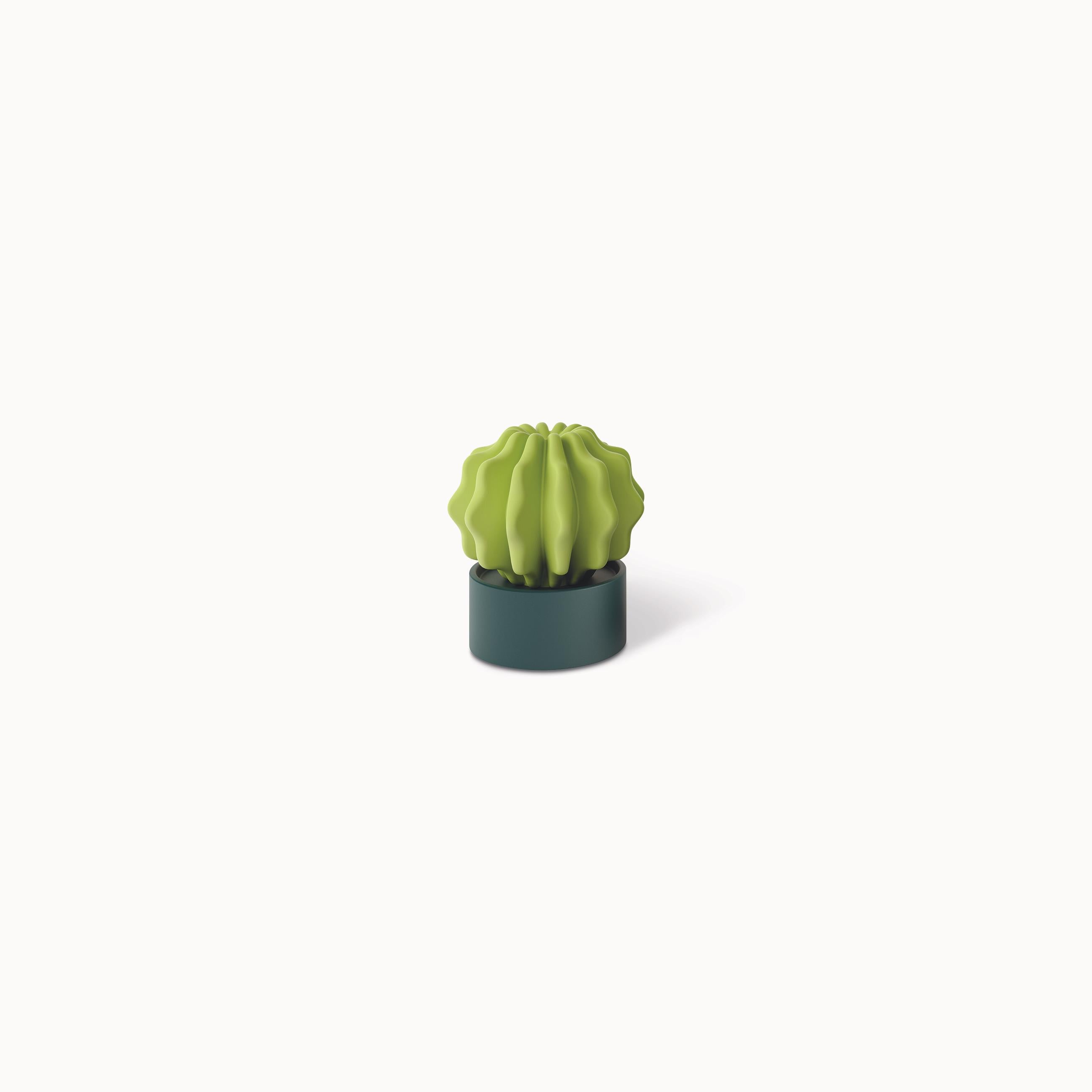 CACTUS LARGE DIA35.5X38CM WP