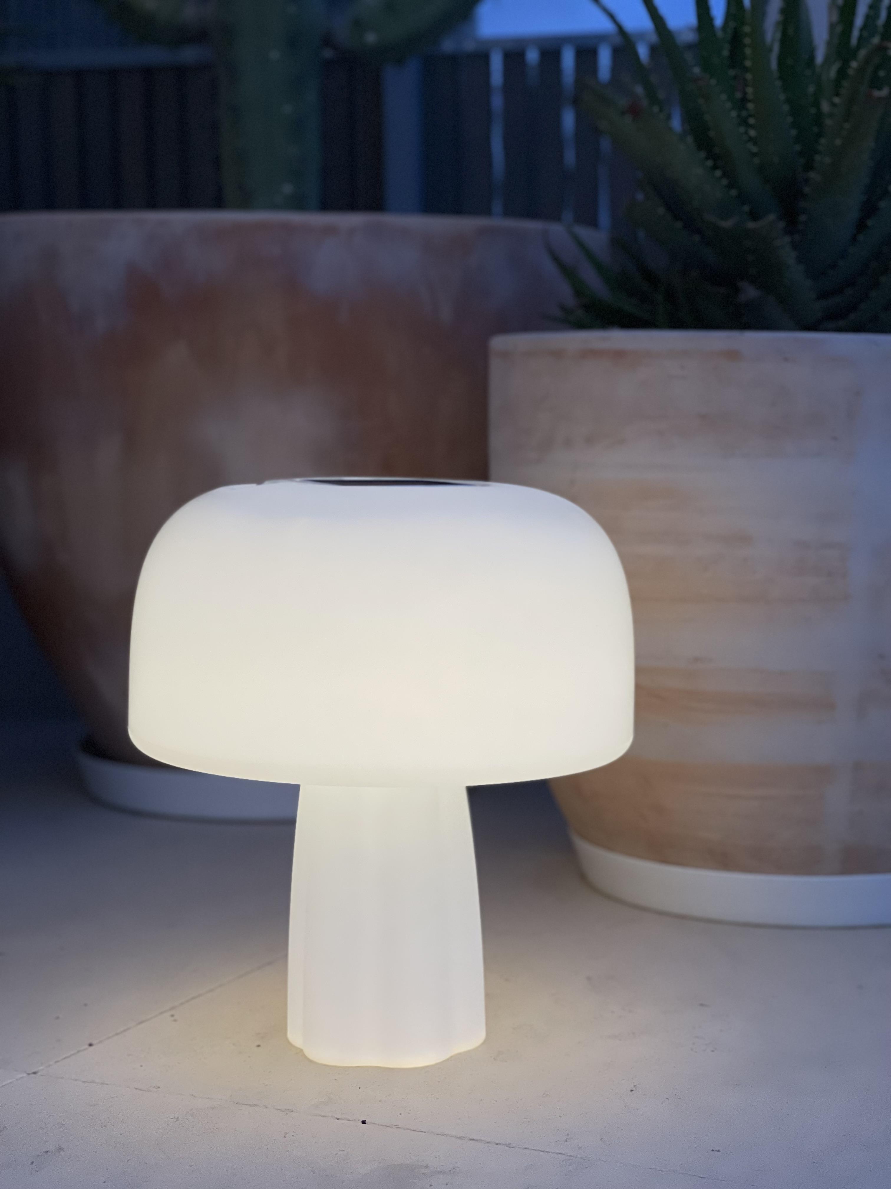 Goodnight Light The Boleti Lamp