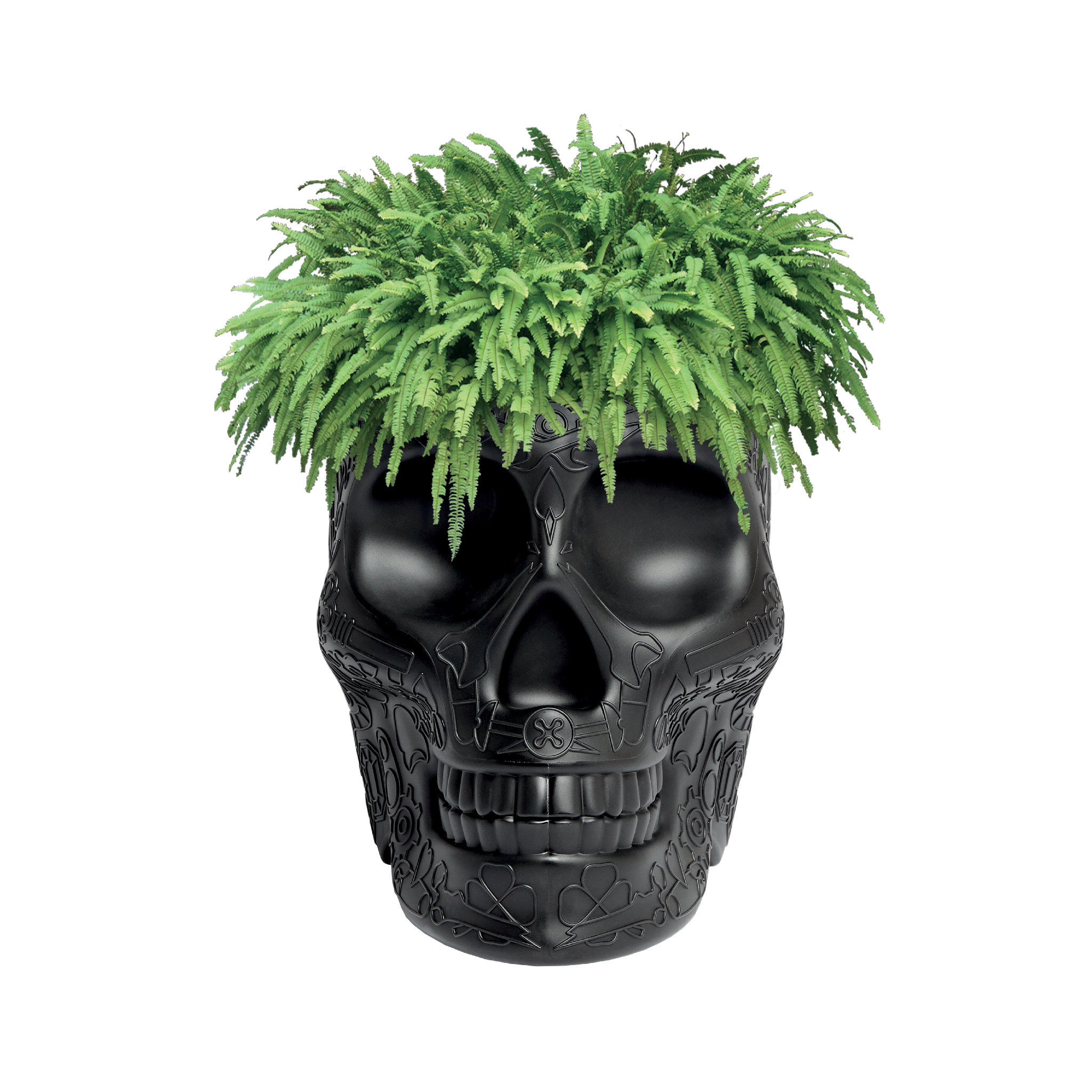 Qeeboo Mexico Planter/Champagne Cooler Black
