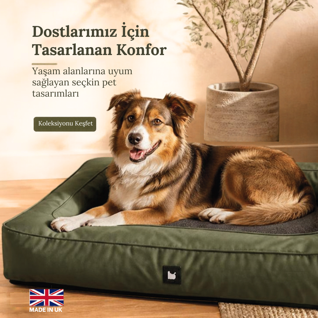 ithal pet ürünleri