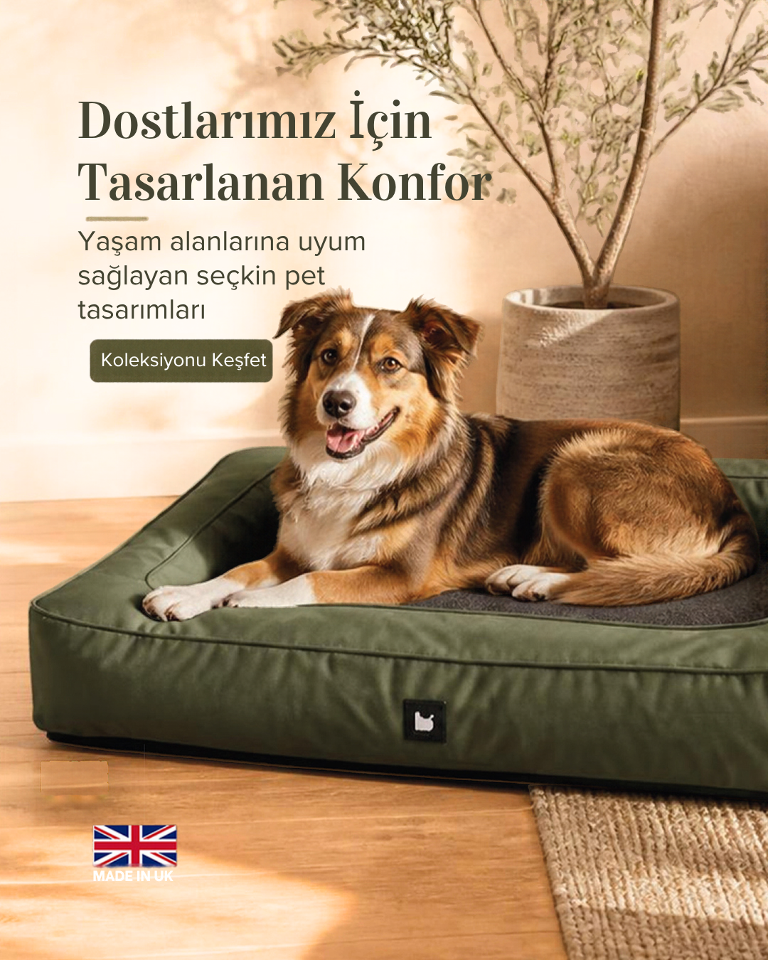 ithal pet ürünleri