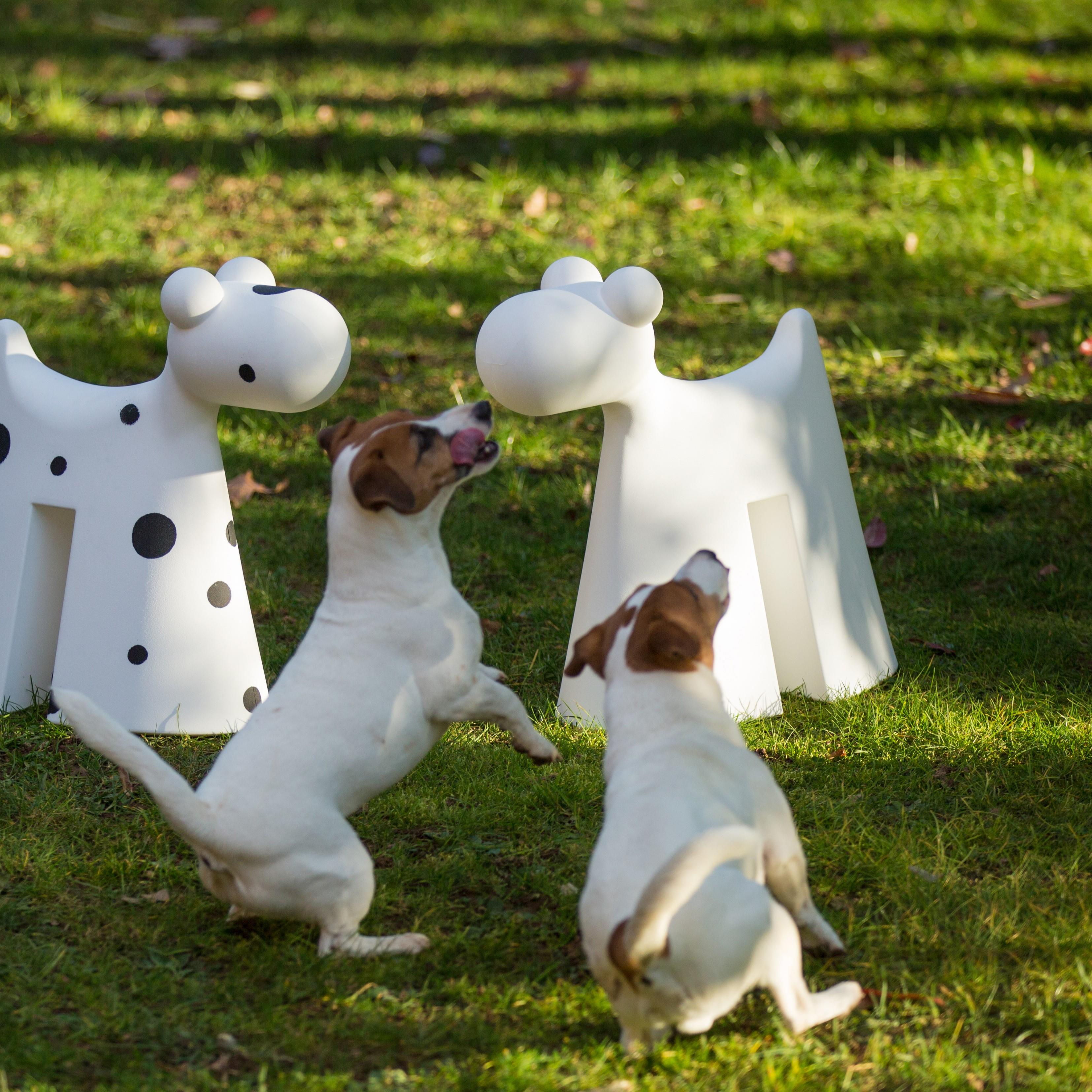 DOGGY MM600X270X550 DALMAÇYALI