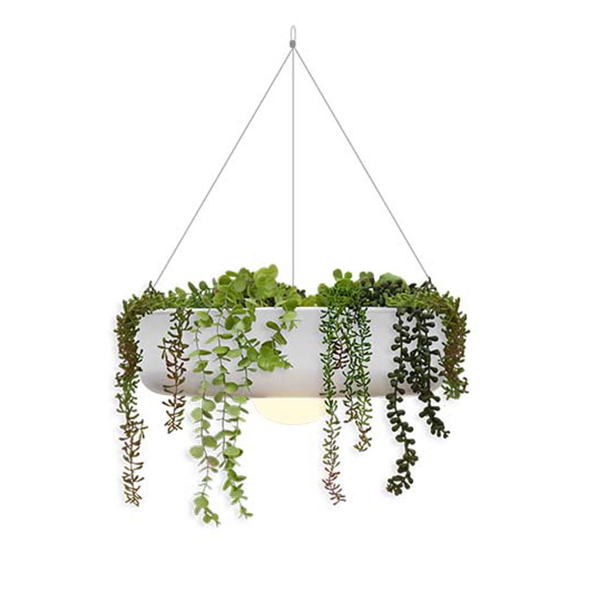 Elba 39 Sarkıt Aydınlatma