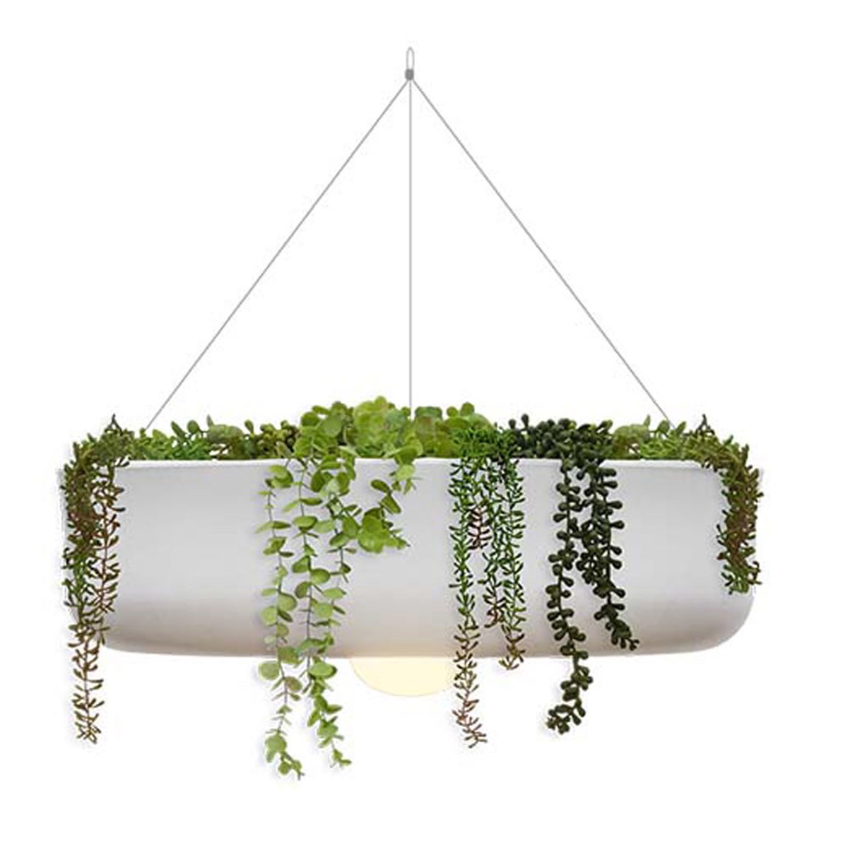 Elba 59 Sarkıt Aydınlatma