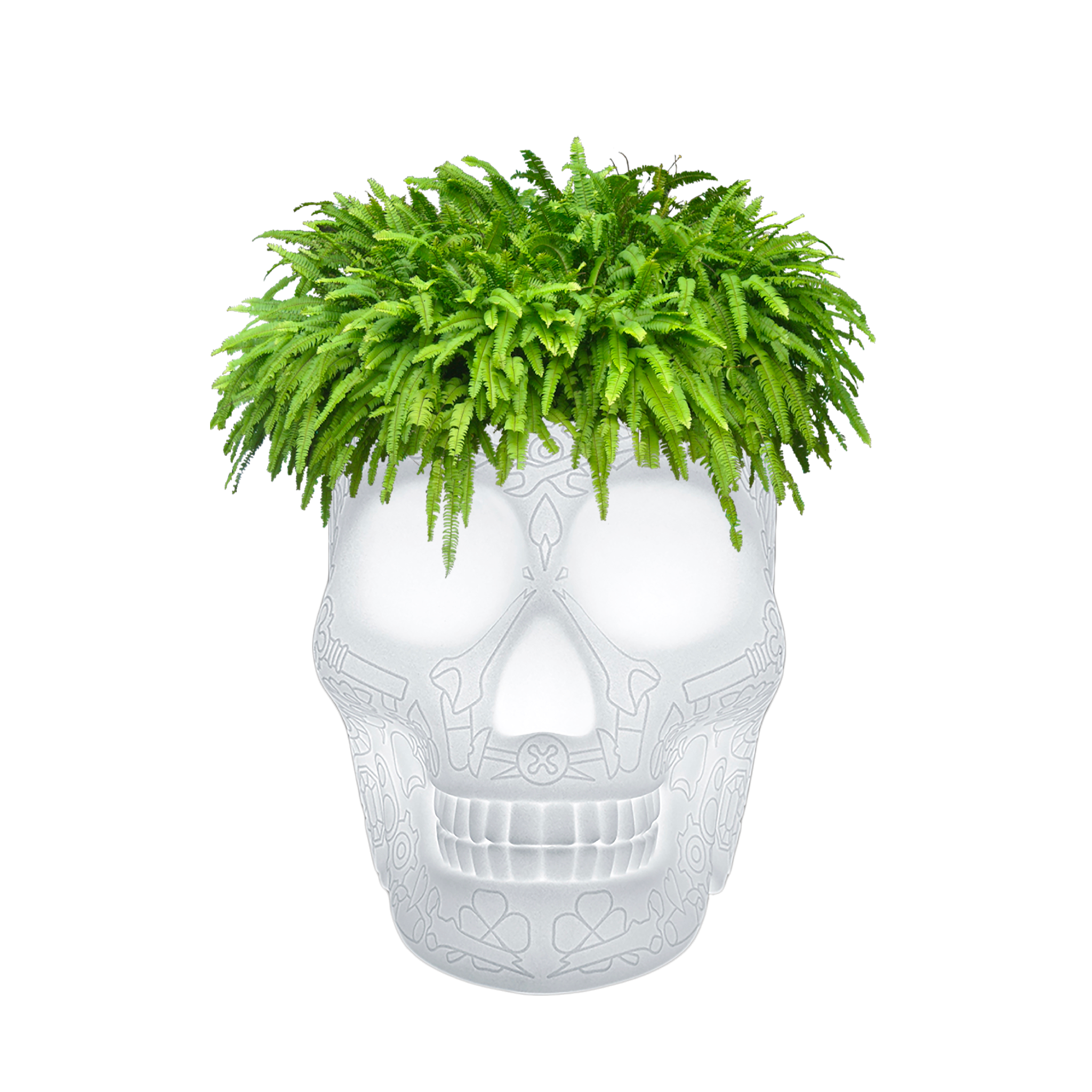 Qeeboo Mexico Champagne Cooler/Planter LED