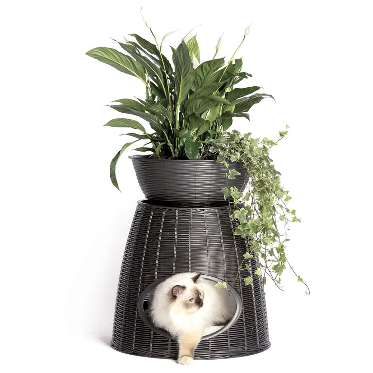 Toomax Dekoratif Kedi/Köpek Evi (Antrasit)