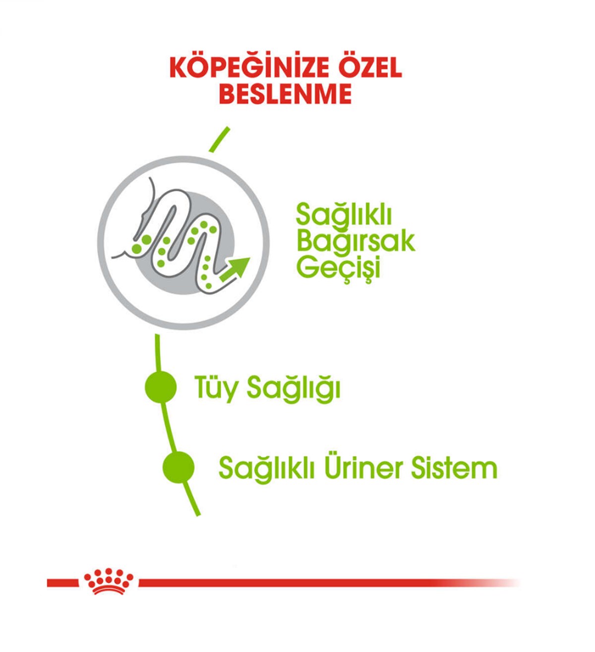 Royal Canin X-Small Adult Mini Irk Yetişkin Köpek Maması 1.5 Kg