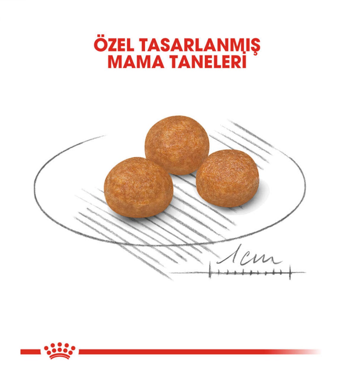 Royal Canin X-Small Adult Mini Irk Yetişkin Köpek Maması 1.5 Kg