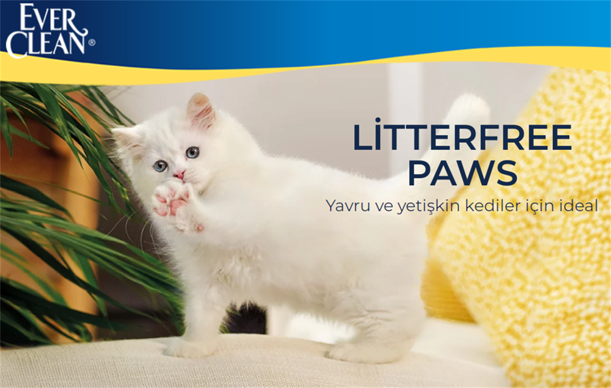 Ever Clean Litterfree Paws Patilere Yapışmayan Topaklanan Kedi Kumu 10 lt