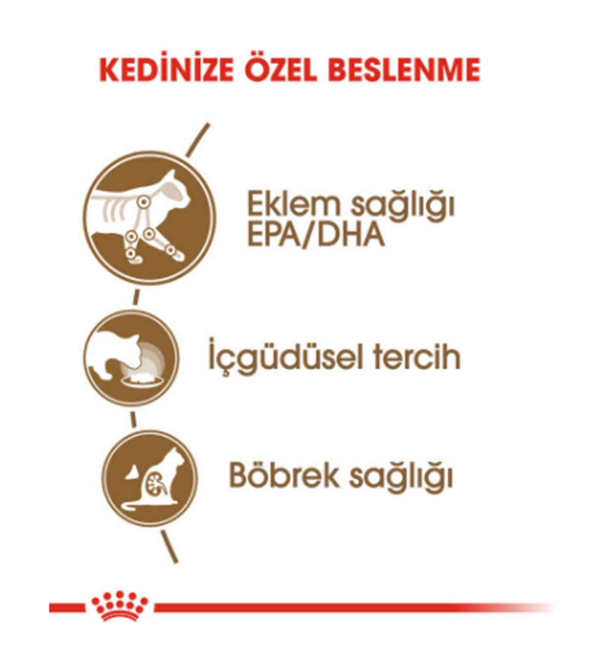 Royal Canin Ageing 12+ Gravy Pouch Yaşlı Kedi Yaş Maması 85 Gr.