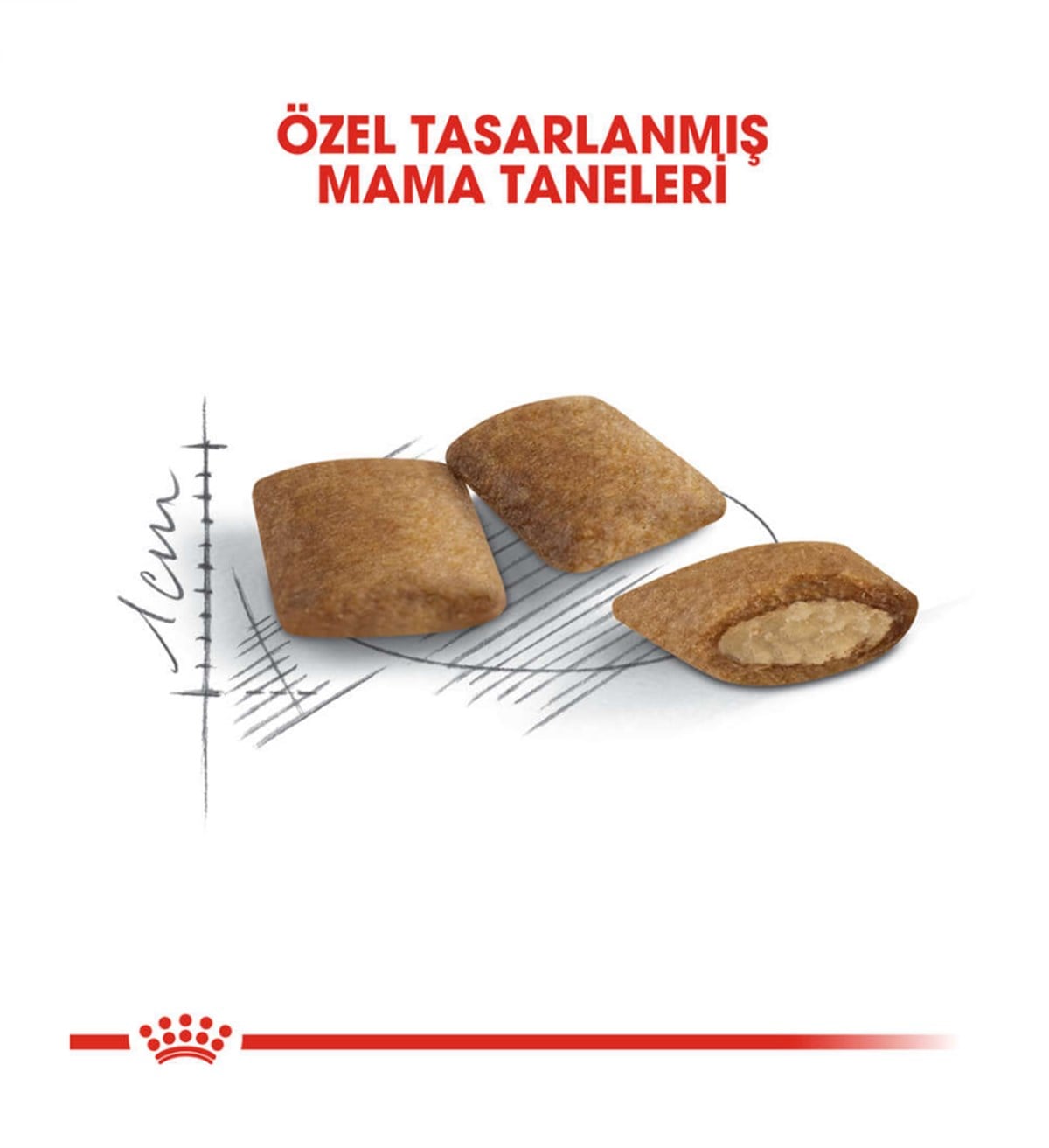Royal Canin Ageing +12 Yaşlı Kedi Maması 2 Kg