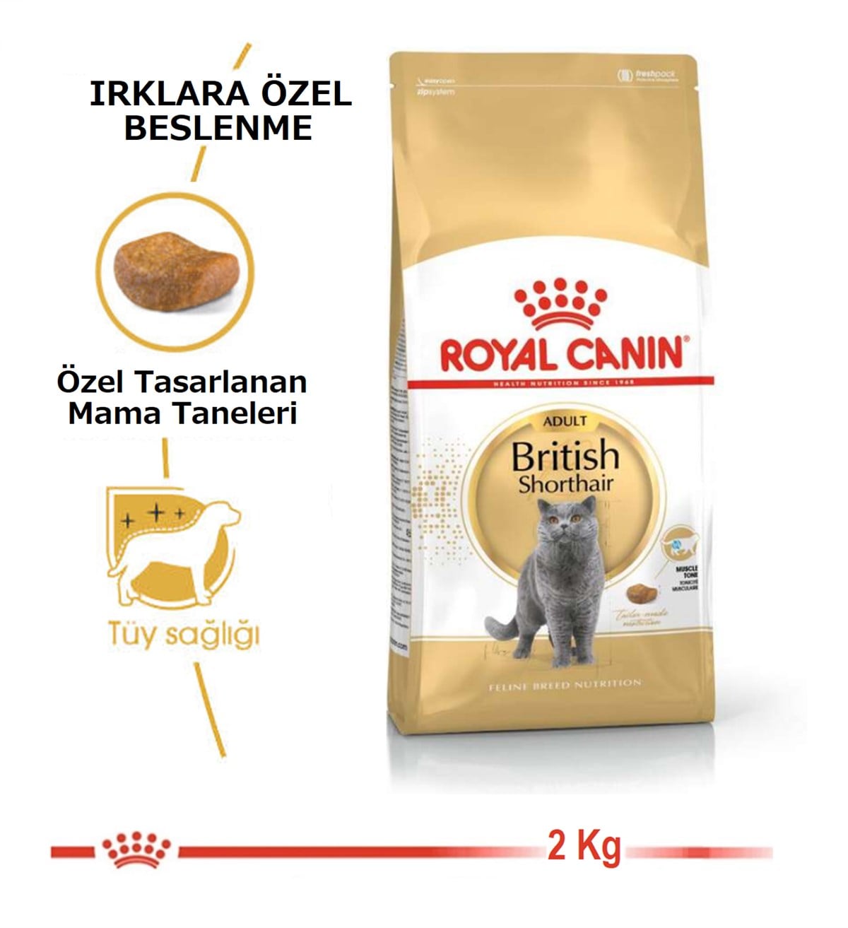Royal Canin British Adult Yetişkin Kedi Maması 2 Kg