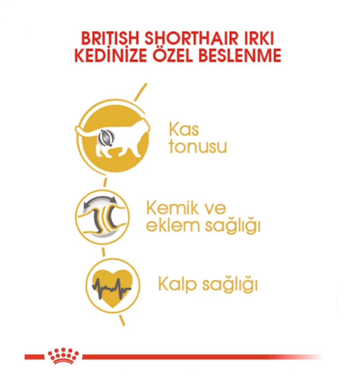 Royal Canin British Adult Yetişkin Kedi Maması 2 Kg
